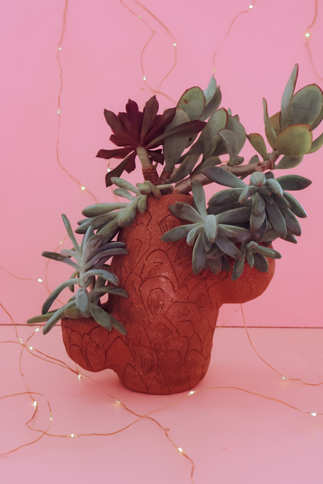 TCMF - ADULT Clay + Cocktails Cactus Planter Workshop - Saturday 17th January (6-8pm)