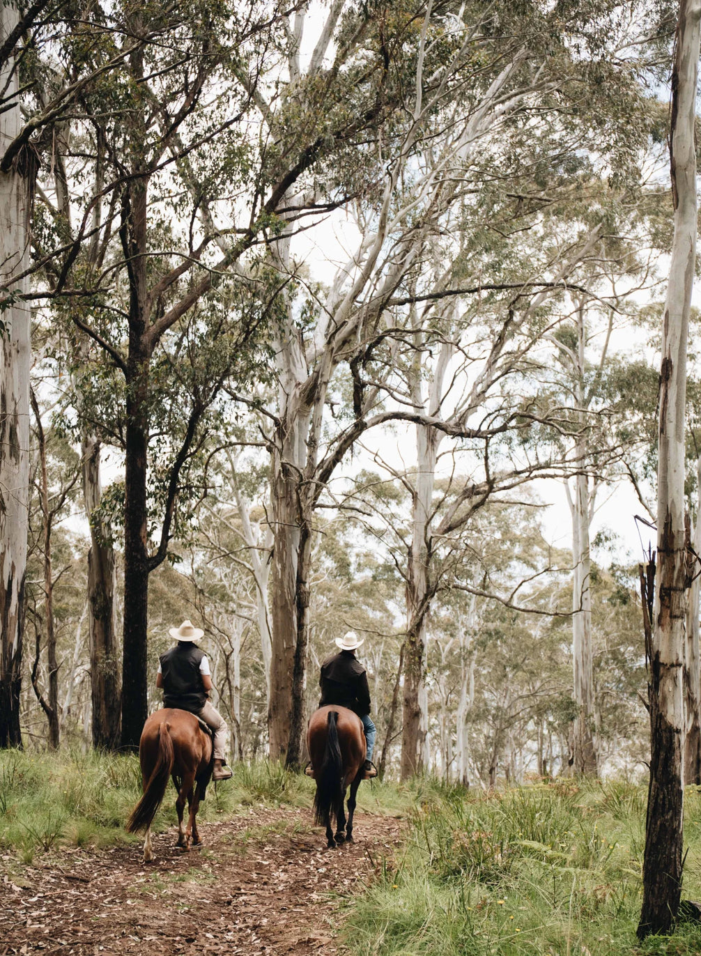 Adam Humphries Sculpture - “Horse Forms” Evening workshop - Friday 12 September 6-8pm!