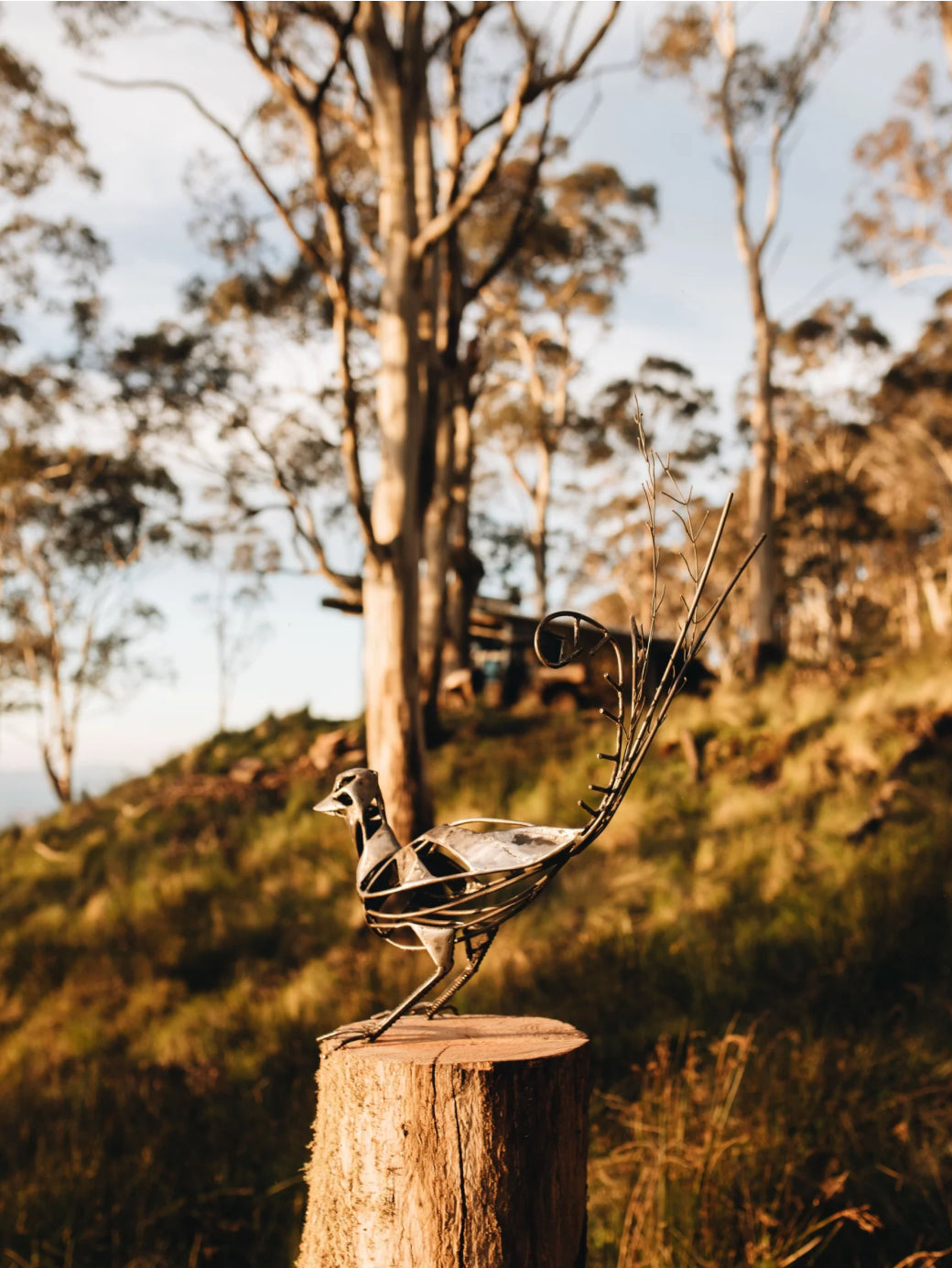 Adam Humphries Sculpture - “Horse Forms” Evening workshop - Friday 12 September 6-8pm!