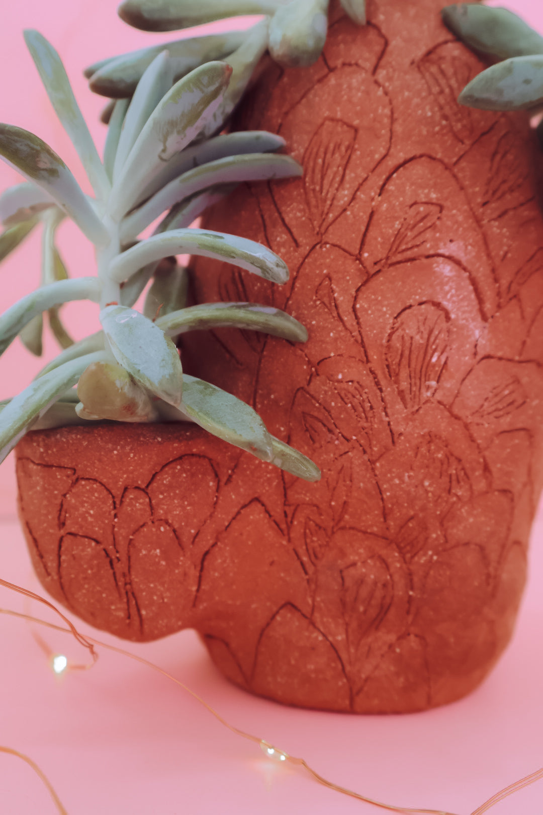 TCMF - ADULT Clay + Cocktails Cactus Planter  Workshop - Saturday 17th January (6-8pm)