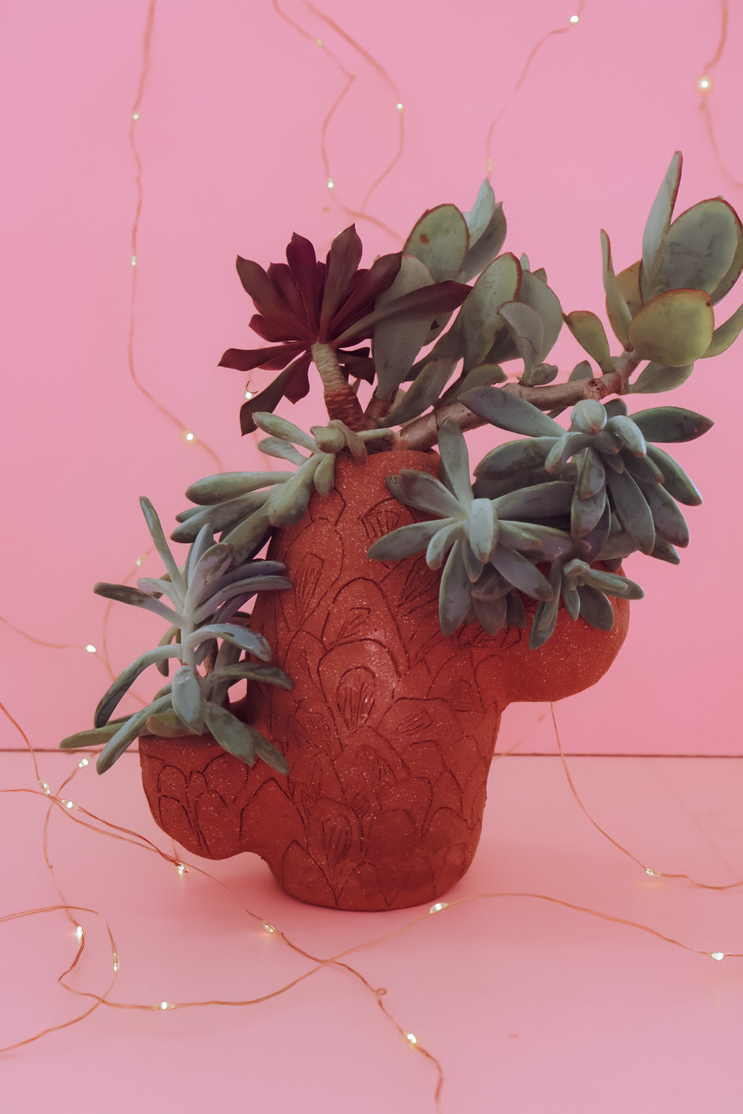 TCMF - ADULT Clay + Cocktails Cactus Planter  Workshop - Saturday 17th January (6-8pm)