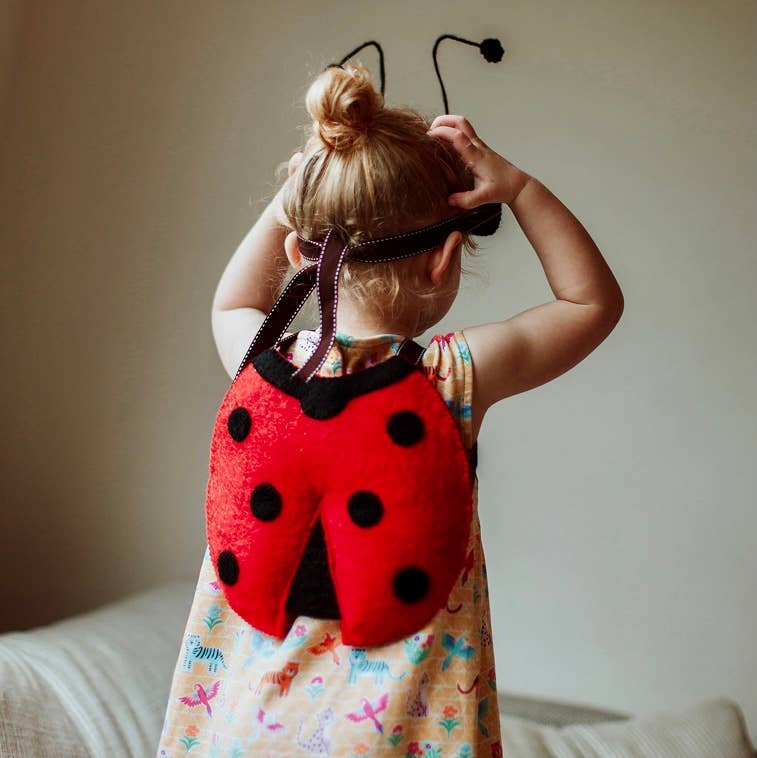 Louise Ladybird Dressing Up Set