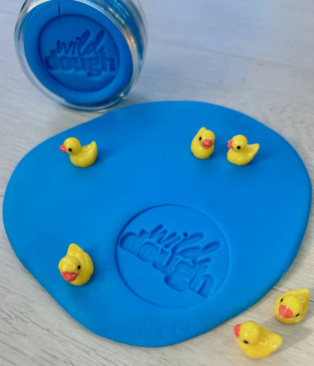 Pacific Blue Playdough (w/s)