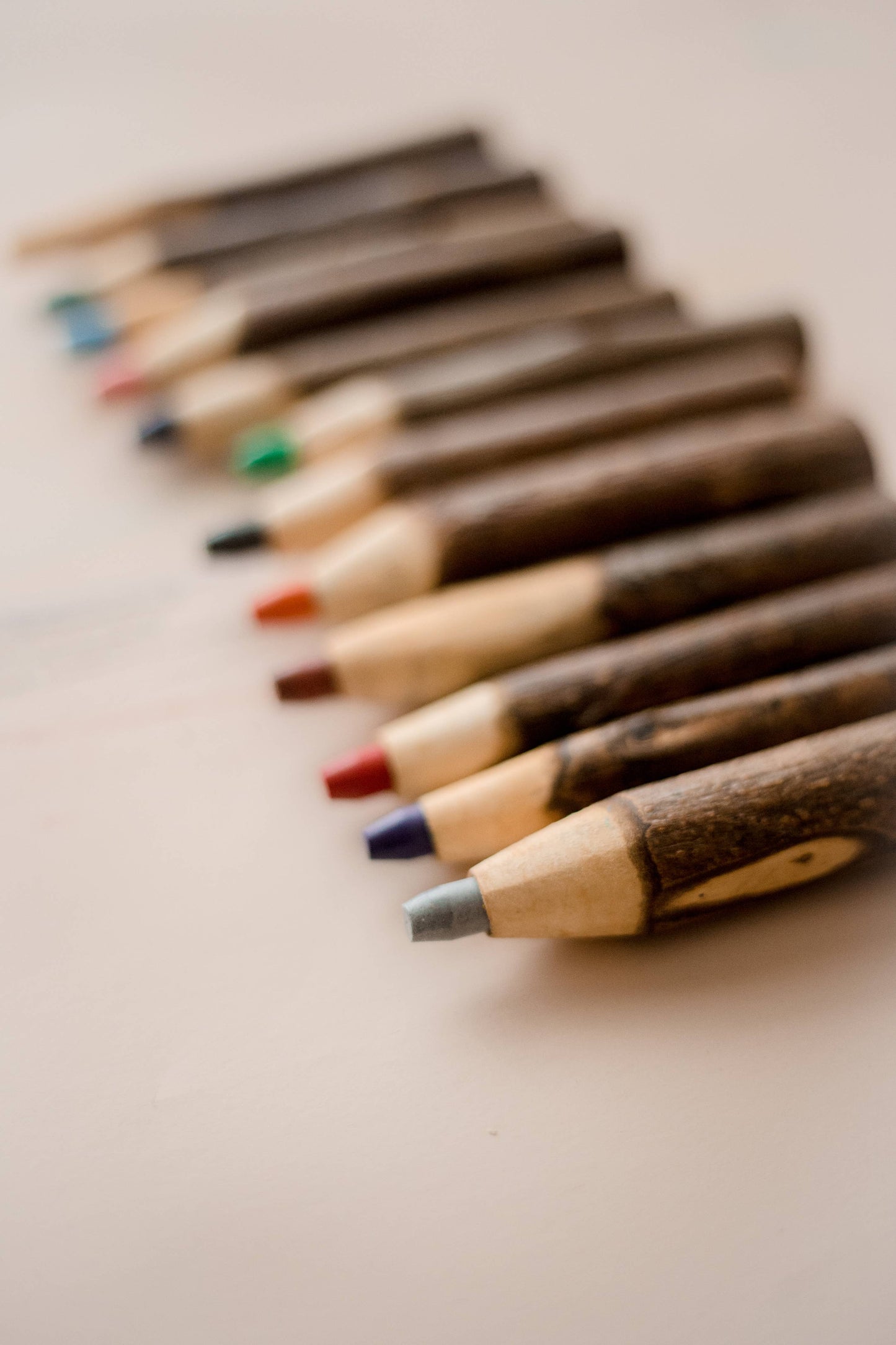 Tree Color Pencils With Holder