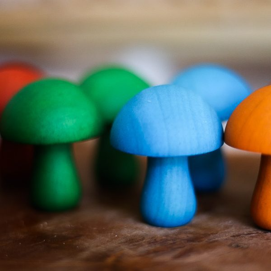 Coloured Wooden Mushrooms