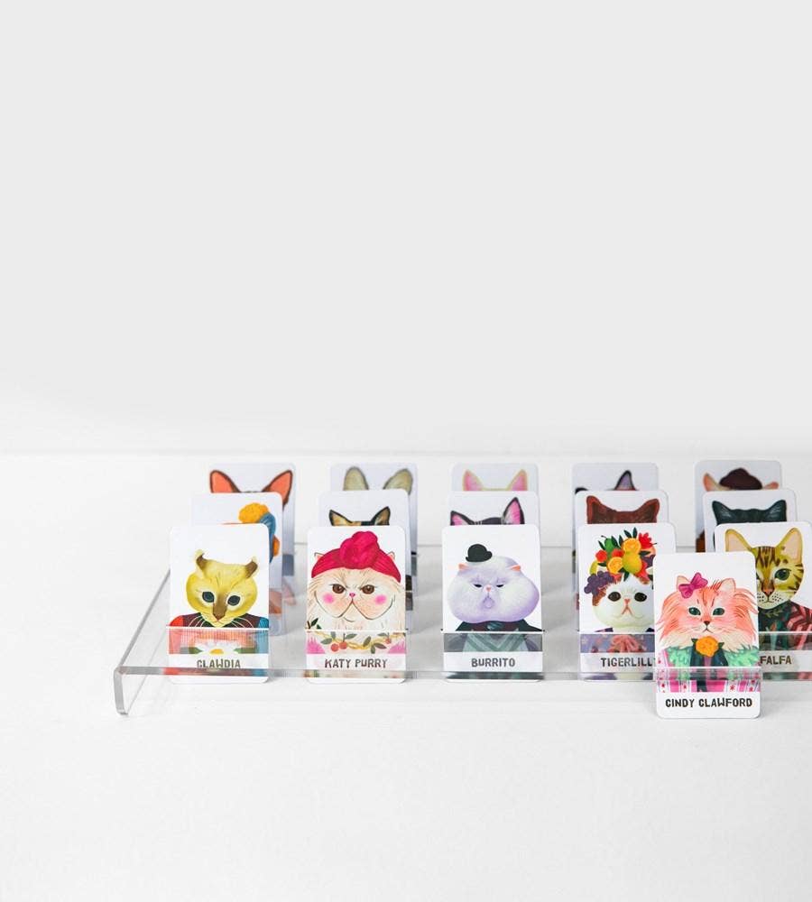 Guess The Feline Card Game