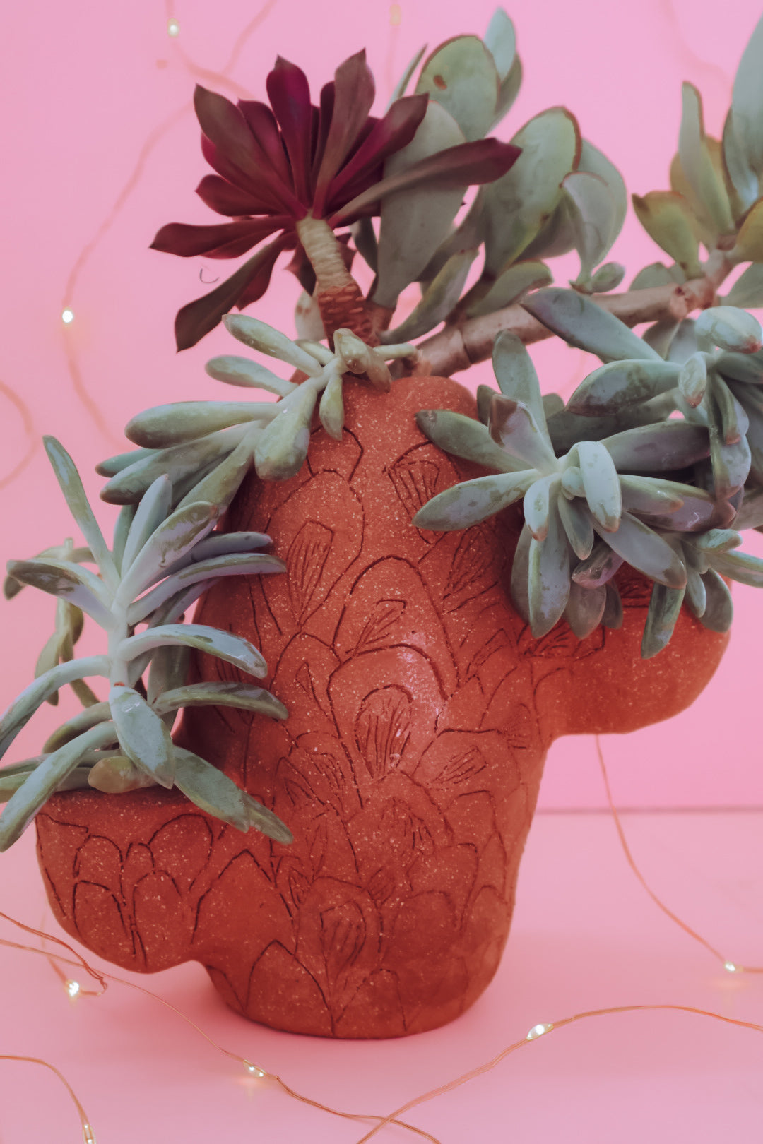 TCMF - ADULT Clay + Cocktails Cactus Planter  Workshop - Saturday 17th January (6-8pm)