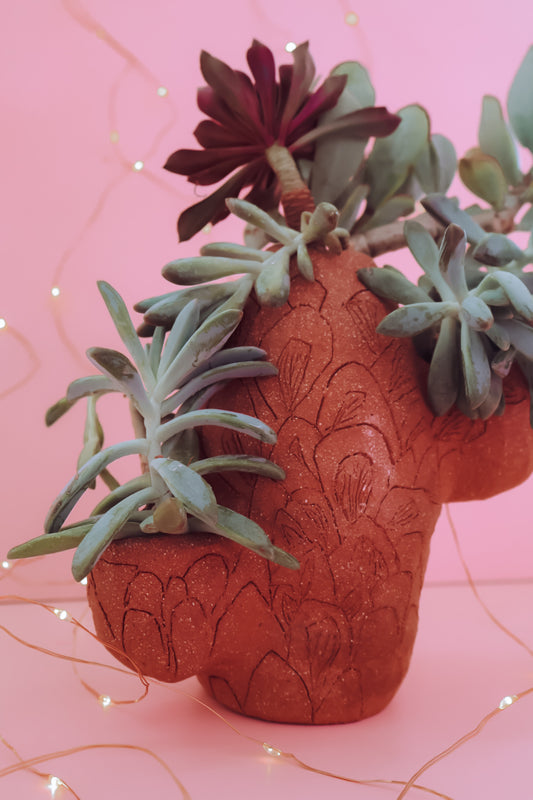 TCMF - ADULT Clay + Cocktails Cactus Planter  Workshop - Saturday 17th January (6-8pm)
