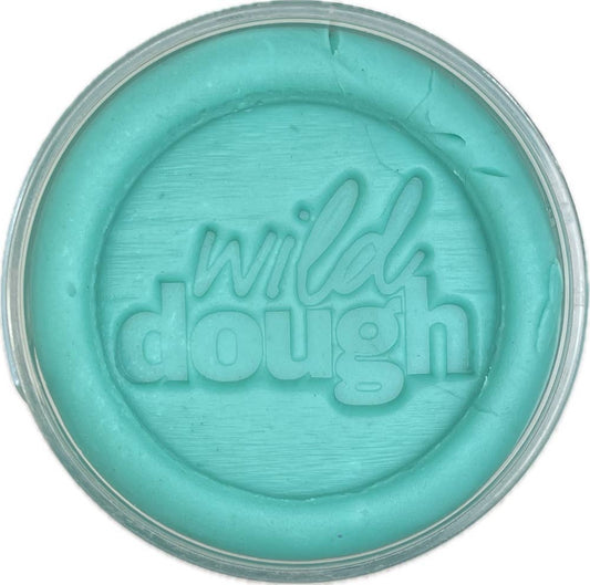 Sea Glass Teal Playdough (w/s)