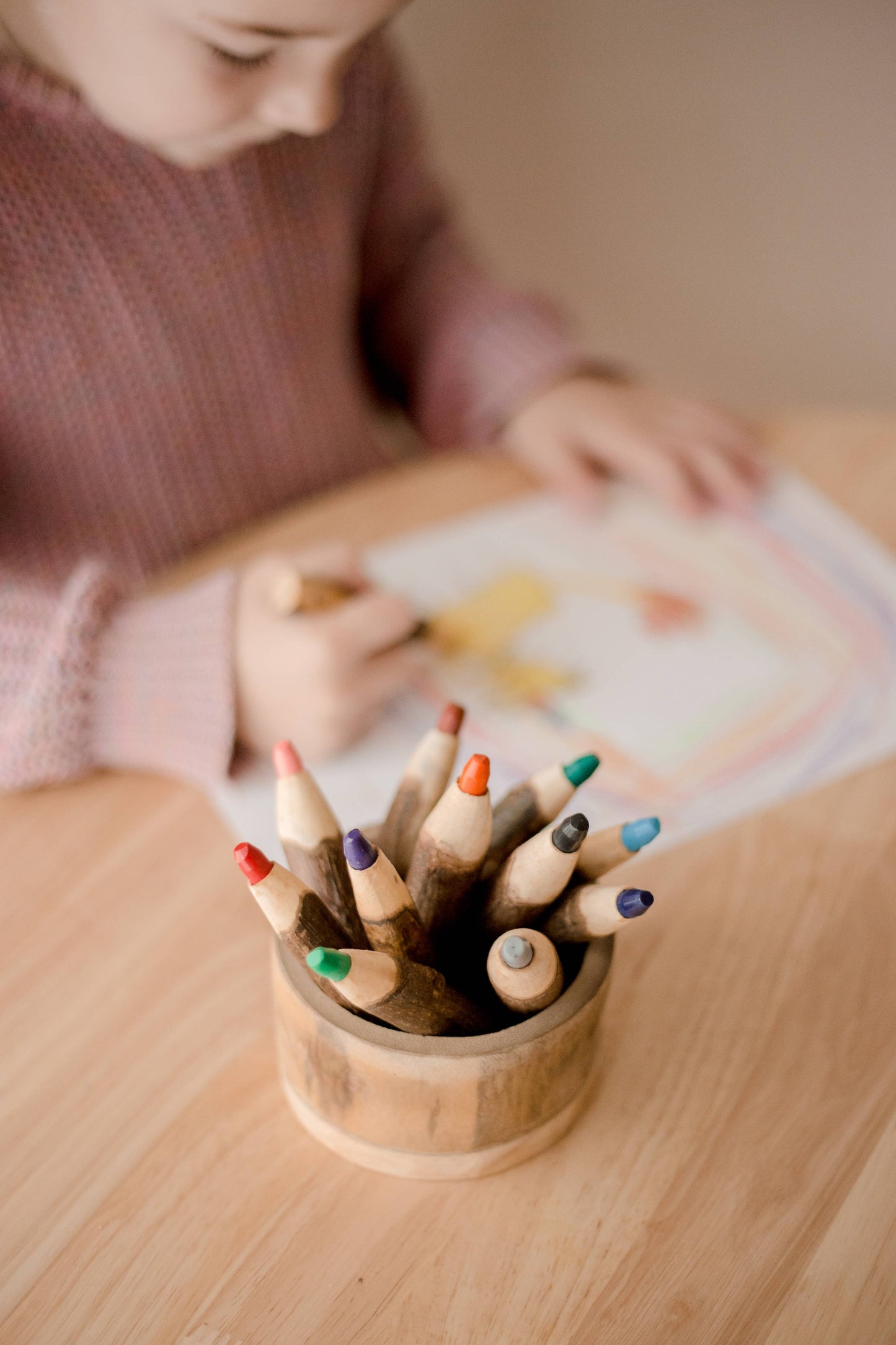 Tree Color Pencils With Holder