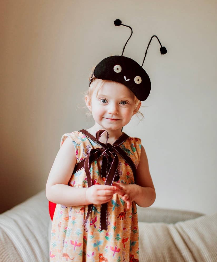 Louise Ladybird Dressing Up Set