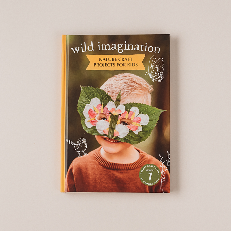 Wild Imagination Book